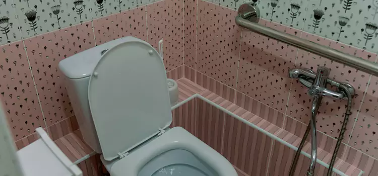 Meeting Diverse Needs With Accessible Restroom Solutions in Villa Park, IL